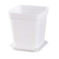 50pack 2.7inch White Square Plastic Plant Pots with Saucer for Garden