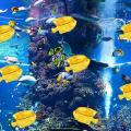 15 Pcs Universal Humidifier Tank Cleaner Fish,for Adorable,fish Tank