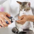 Pet Nail Trimmer Clipper Made Of Stainless Steel for Pet
