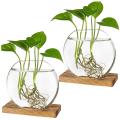 Glass Vase with Wood Stand for Hydroponic Plants Home Office Decor 1