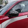 Car Carbon Fiber Rear View Rearview Side Glass Mirror Cover Trim