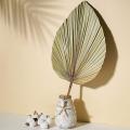 Dried Palm Leaves Room Decor 5 Pieces - 18inch H X 10inch W Palm Leaf