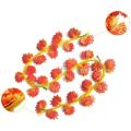 24 Packs Of Artificial Autumn Leaves Garland Hanging Vine for Wedding