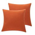 2pcs Outdoor Throw Pillow Covers for Couch Decoration 18x18 Inches