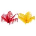 10 Pcs Ostrich Feathers Wedding Party Decoration Red 20-25cm