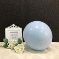 Pale Blue Balloons,25.4cm for Party Birthday Wedding Anniversary