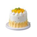 6inch Silicone Cake Model Embryo Birthday Cake Window Display (b)