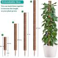 15.7 Inch Coir Moss Pole for Climbing Plants Monstera with Garden