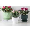 Plastic Planter Pots for Plants,5 Pack 6inch Flower Pots for Indoor C