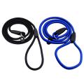 Nylon Dog Slip Training Walking Lead with P Chain 1cm Blue