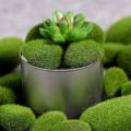 30pcs Simulation Moss Foam Stone Fake Plant Mini Landscape Bonsai