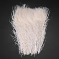 50 Pcs/white Peacock Feathers In The Eye, 10 to 12 Inches Decoration