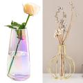 Flower Glass Vase for Decor for Centerpieces Kitchen Office(magic)