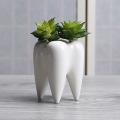 Ceramic Teeth Shape Flowerpot White Succulent Flower Pot Set Of 4
