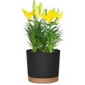 Diameter 16.5 Cm Flower Pots, Set Of 6, Self-watering Plastic Planter