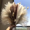 110pcs Dried Pampas Grass Decor , Fluffy Stem Bouquet(17.5 Inch)