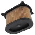 Motorcycle Air Filter for Hyosung Gt250r Gt650r Gv650 Gt650 Gt250