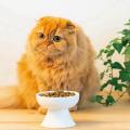 Pet Ceramic Bowl Mino-yaki Style Japanese Ceramic Cat Bowl Black