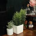 Dollhouse Mini Plant Miniature Potted Plants Bonsai Decoration,white