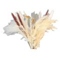 30pcs Dried Reed Small Pampas Flowers Artificial Banquet Decoration