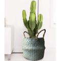 Natural Seagrass Woven Storage Basket for Home Decorations - Blue
