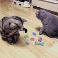 20pcs Colorful Cat Spring Toy and Cat Stick Toy Cat Jumping Toy