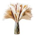 Pampas Grass 90pcs Natural Dried Flowers-for Home and Room Decor