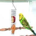 Spiral Birds Feeder, Millet Treat Fruit Holder for Parrot