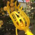 2pcs Fruit Picker Tool(head Only Pole Not Included) for Getting Fruit