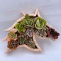 Animal Horse Model Decor Resin Imitation Wood Creative Flowerpots