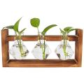Desktop Plant Propagation Stations, with Stand for Hydroponics