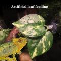 Reptile Simulation Plant Leaves 2 Pieces and 1 Leaf Licking Terrarium