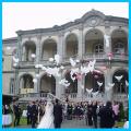 10pcs White Dove Balloons Wedding Party Decoration Foil Balloons