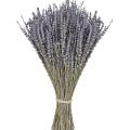 300-320 Stems Natural Dried Lavender Bunches for Home Decoration,home