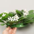 Artificial Magnolia Leaf Cherry Blossoms Wreath for Wall Decoration
