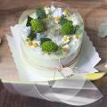 Transparent Mousse Cake Collar Baking Surrounding Edge Decorating