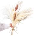 30pcs Dried Reed Small Pampas Flowers Artificial Banquet Decoration