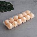 24pcs Plastic Egg Cartons Clear for Family Chicken Market- 12 Grids