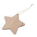 10 X Wooden Star Shapes, Plain Wood Craft Tags with Hole (10cm)