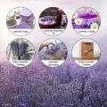 300-320 Stems Natural Dried Lavender Bunches for Home Decoration,home