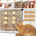 Guinea Pig Toys, for Small Animals to Gnaw and Relieve Boredom
