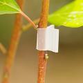 200pcs Caliber Plant Grafting Support Clips for Vine Beans 3mm