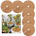6pcs Coconut Palm Mulch Cover for Plant Root Anti-freezing 30cm
