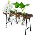 Desktop Plant Terrarium with Wooden Stand 3 Bulb Vases Glass Planter