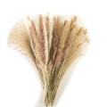 70 Pcs Dried Pampas Grass Decor, for Home & Wedding Boho Decor