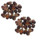 20pcs Artificial Acorns for Autumn Display Wedding Party Decoration