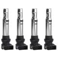 4pcs 036905715f Ignition Coil Pack for Golf Jetta Passat Beetle Polo