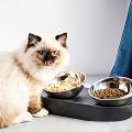 Adjustable Pet Cat Bowl Rack Non-slip Cat Tray Tilt Slow Feeder B