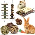 Rabbit Toys, Animals Chew Toy for Teeth Natural Apple Wood Sticks