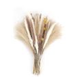 65pcs Dried Fluffy Pampas Grass Decor Tall,natural Pompous